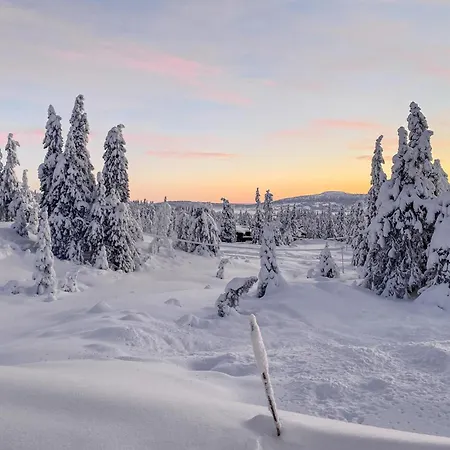 Niesamowity Dom W Z Sauną * Sjusjoen