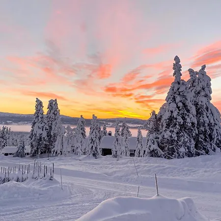 Awesome In With Sauna *