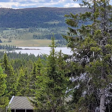 Awesome In With Sauna 펜션 *