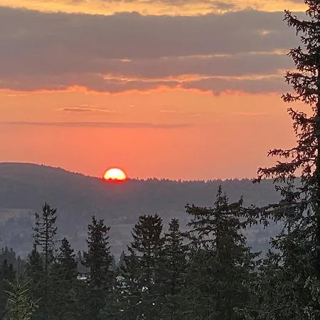 펜션 Awesome In With Sauna *