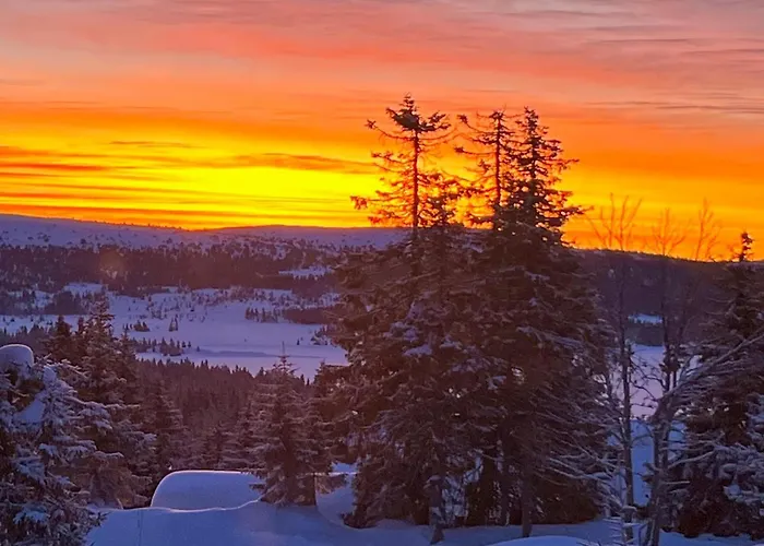 Awesome In With Sauna Sjusjoen