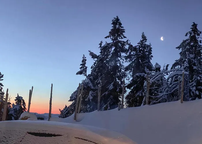 Awesome In With Sauna Sjusjoen